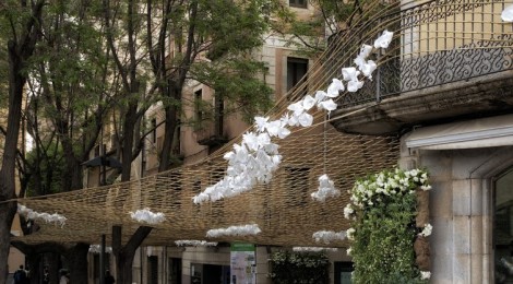 Jardí flotant a la inversa