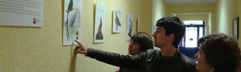 Un treball sobre la “il·lustració científica” realitzat per alumnes de l'Escola d'Art i Superior de Disseny d'Olot, s'exposa a “El passadís” del Cor de Maria.