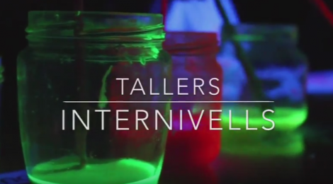 Tallers INTERNIVELLS a Maria Reina.