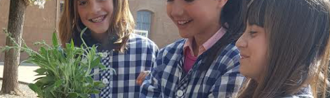 JA HA ARRIBAT LA PRIMAVERA A L'ESCOLA!