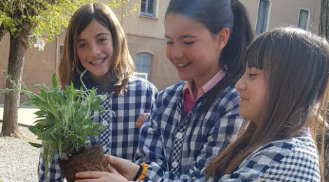 JA HA ARRIBAT LA PRIMAVERA A L'ESCOLA!