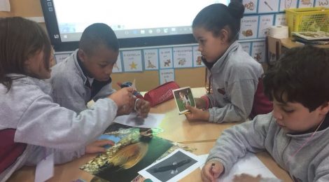 Iniciem el nostre projecte_ Cicle Inicial d'Educació Primària
