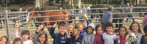 CELEBREM SANT LLUC A L'ESCOLA
