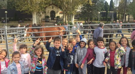 CELEBREM SANT LLUC A L'ESCOLA