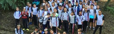 SORTIDA A LA NATURA DE CS