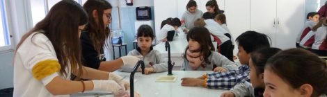 Interacció entre cursos.