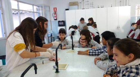 Interacció entre cursos.