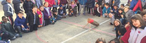 Ha arribat el tió al Cor de Maria