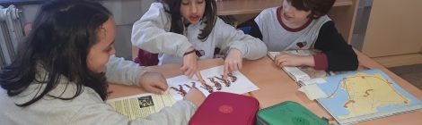 Projecte de 4t de primària