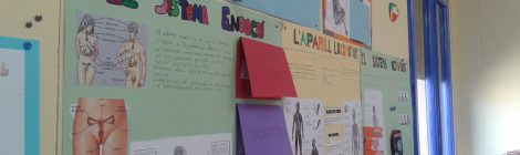 ELS NOIS I NOIES DE 6è DONEM PER ACABAT EL PROJECTE SOBRE LA FUNCIÓ DE RELACIÓ