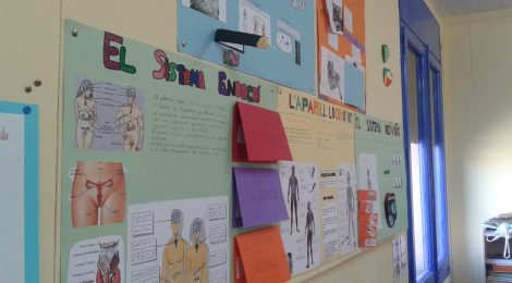 ELS NOIS I NOIES DE 6è DONEM PER ACABAT EL PROJECTE SOBRE LA FUNCIÓ DE RELACIÓ