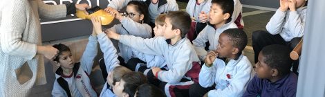 Comencem un projecte a 3r de primària.