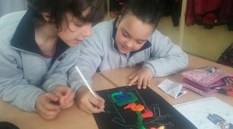 Activitats manipulatives a medi