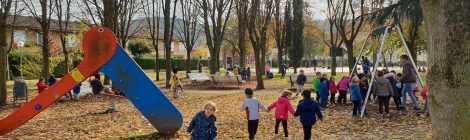 Sortida de tardor dels alumnes d’infantil