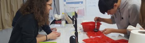 PRÀCTIQUES A L’OPTATIVA DE QUÍMICA