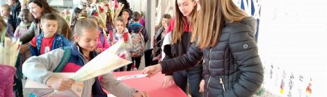 Sant Jordi Solidari